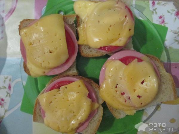 Горячие бутерброды с сыром в микроволновке рецепт пошаговый с фото - sapsanmsk.ru