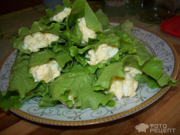 Блюда из листьев салата