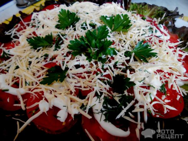 Закуска из кабачков с помидорами фото