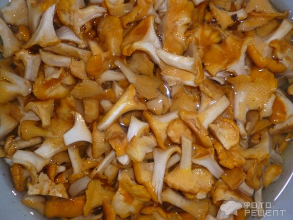 Картофельная запеканка с грибами фото