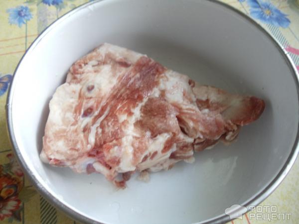 Борщ со свининкой из банки-консервы фото