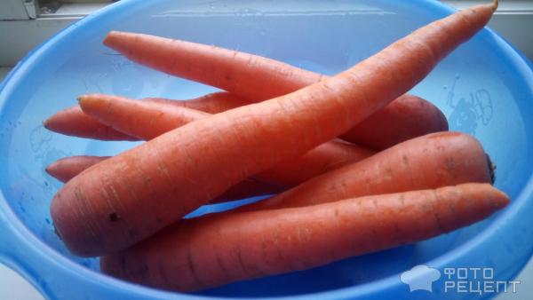 Морковные котлеты фото