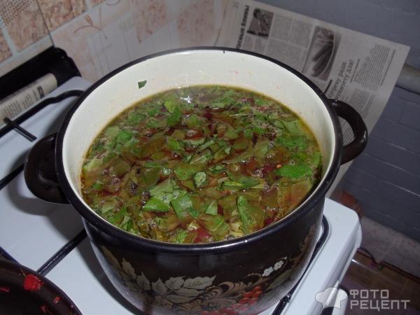 Овощной суп Ботвинья фото