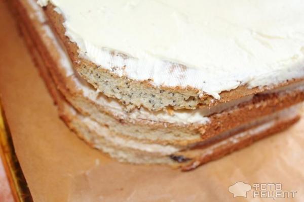 Бисквитный торт Миньон фото