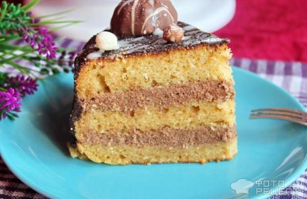 Торт Бисквитный с шоколадным кремом фото