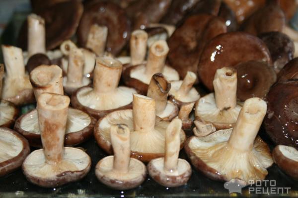 грибы соленые