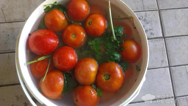 Квашеные помидоры фото