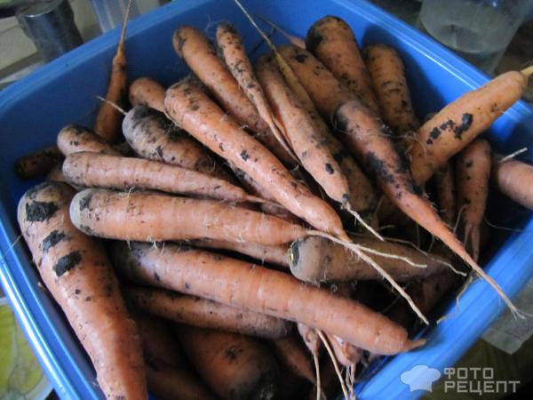 Заморозка моркови