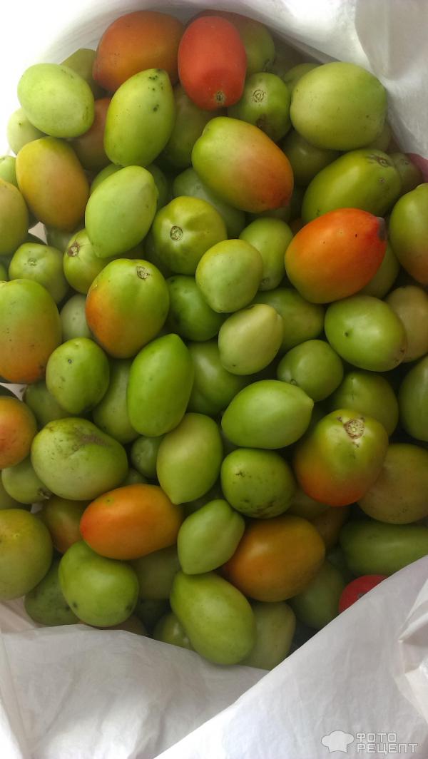 Зеленые помидоры маринованные фото