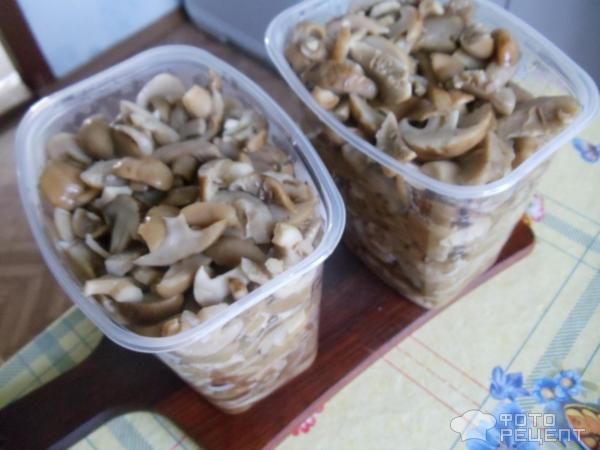 Рядовки маринованные: рецепты приготовления и полезные свойства грибов