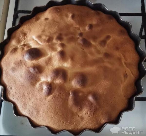 Шарлотка медовая фото
