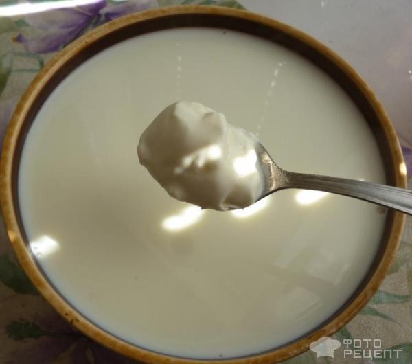 Домашний йогурт на молоке и сметане
