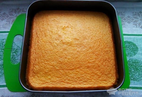 Бисквит, как самостоятельный пирог или коржи для торта фото