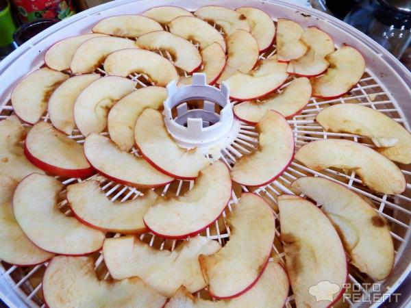 Яблочные чипсы фото