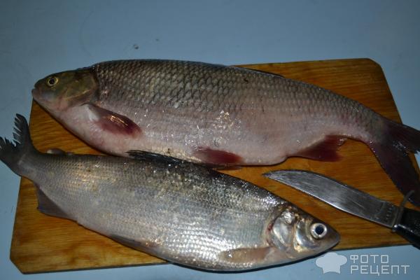 Рыбный пирог с красной рыбой в духовке рецепт с фото пошагово