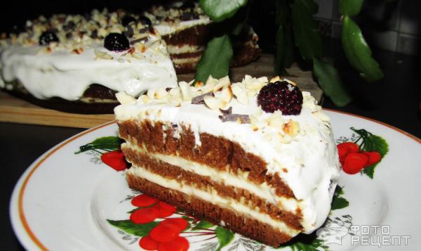 Медовый торт на скорую руку фото