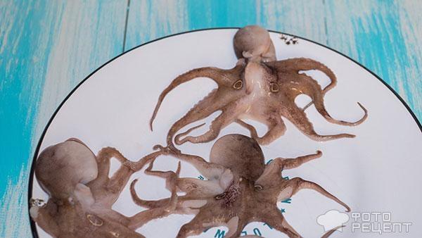 Мини осьминоги: рецепты приготовления