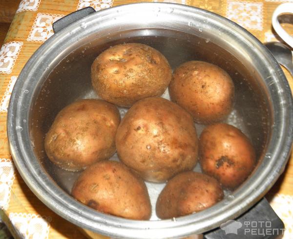 Зразы картофельные с мясным фаршем – пошаговый рецепт с фото, как приготовить в домашних условиях
