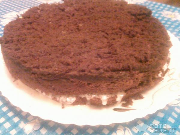 Бисквитный шоколадный торт фото
