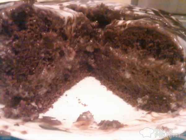 Бисквитный шоколадный торт фото