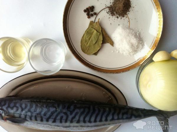 Рыба запеченная в духовке: 6 вкусных рецептов!