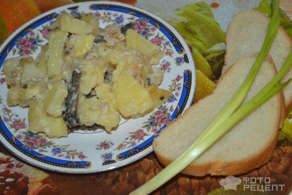 Тушеный картофель с грибами и фаршем со сметаной фото