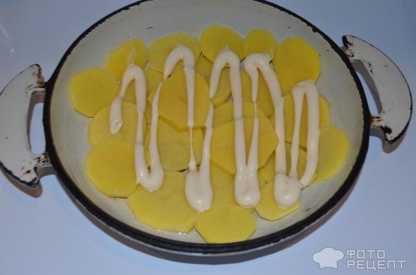 картофель