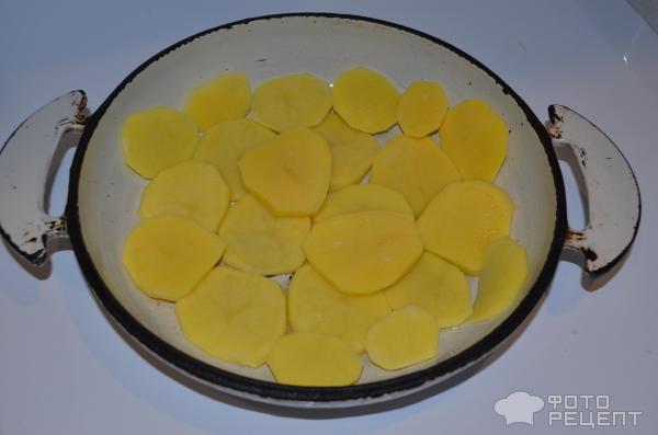 картофель