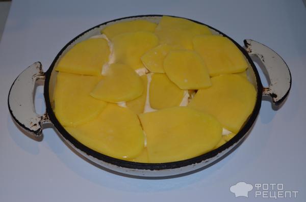 картофель