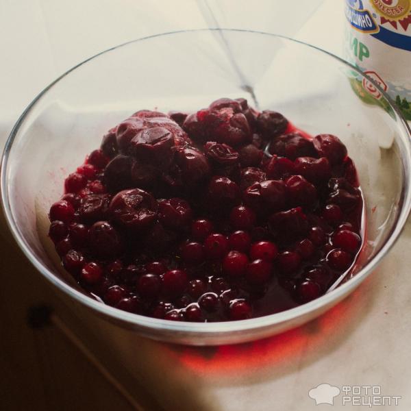 Шарлотка с вишней и клюквой фото