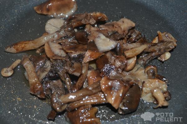 Куриные рулетики с грибами и сыром в мультиварке фото