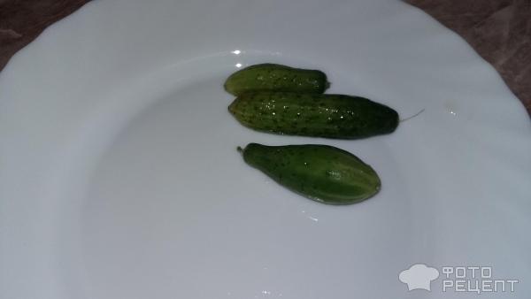 Жареные огурцы фото