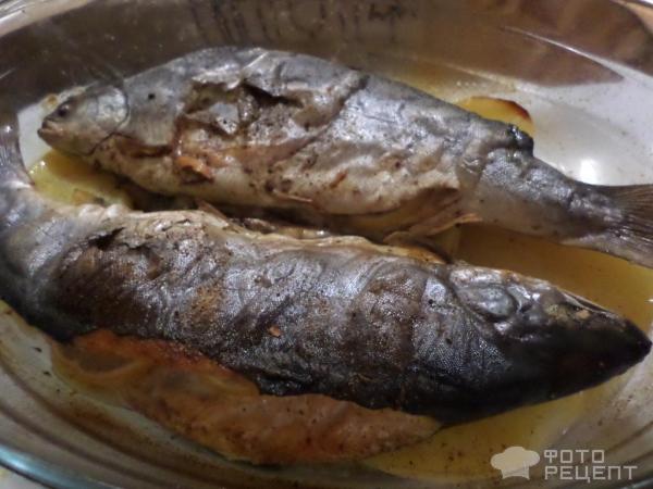 Рыба форель в духовке (62 фото)