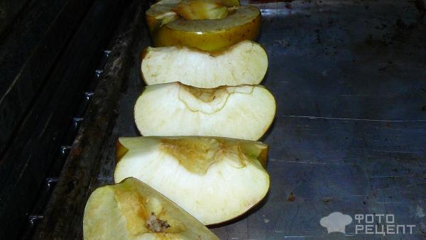 Гусь запеченный в духовке с яблоками, черносливом и рисом, без скелета фото, пошаговый рецепт