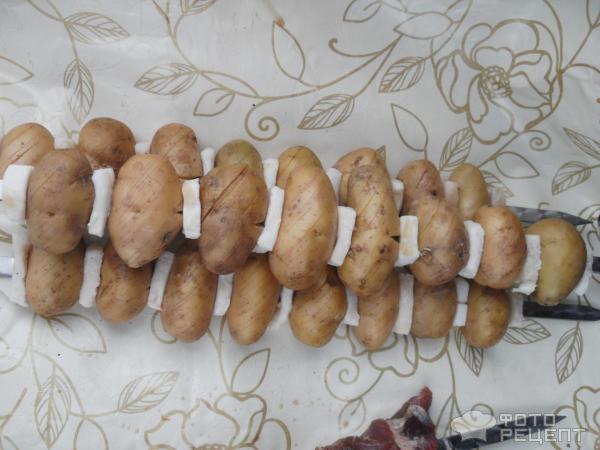 Шашлык из картофеля фото