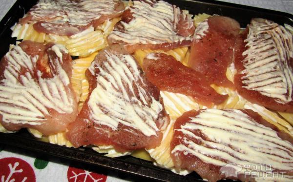 Свинина запеченная с картофелем и сыром фото