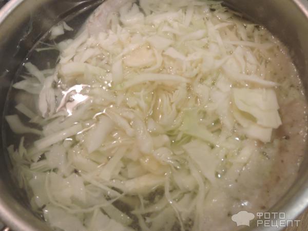 Щи из свежей капусты фото