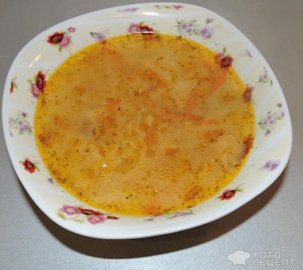 Щи из свежей капусты фото