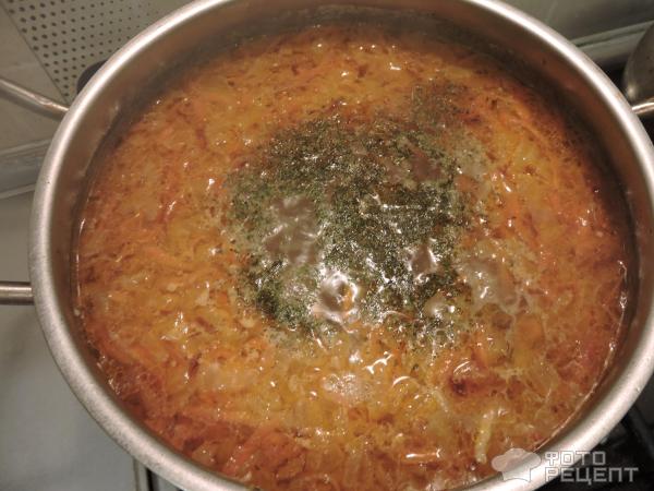Щи из свежей капусты фото
