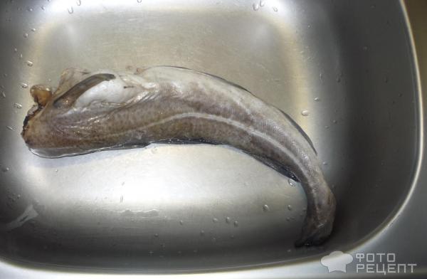 Рыба под маринадом: три сочных рецепта и секреты маринада