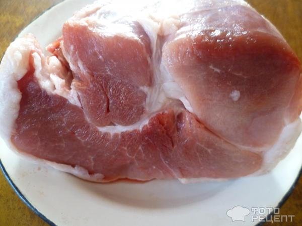 Свинина с помидорами и сыром в духовке, пошаговый рецепт с фото на ккал