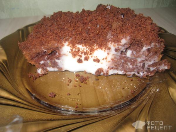 Шоколадный бисквит с ванильным пудингом фото