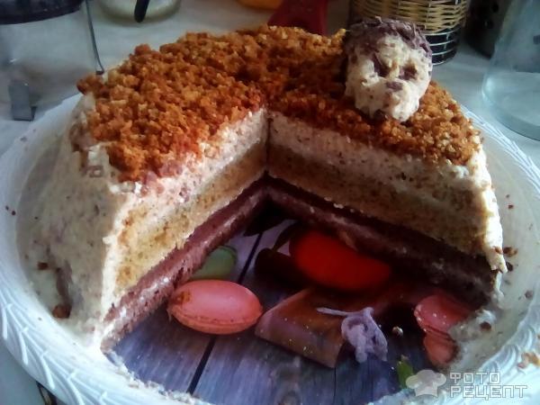 Торт бисквитный со сметанно-масляным кремом фото