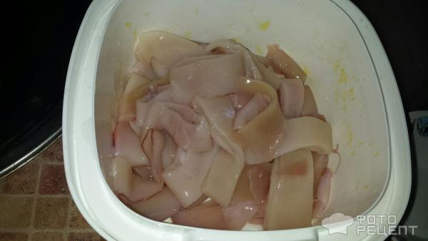 кальмары