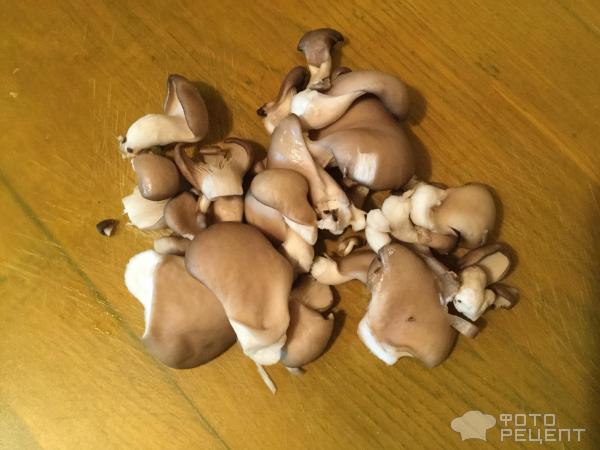 Овсяные котлеты фото