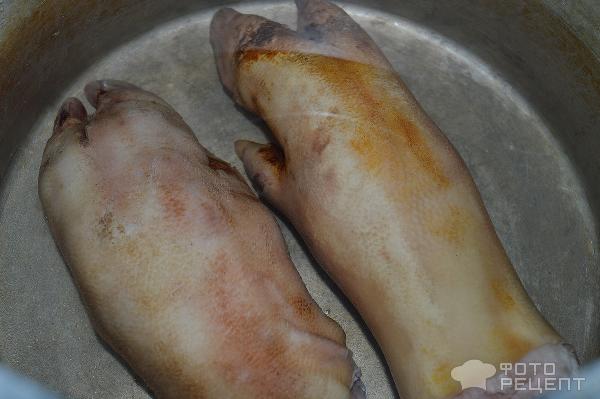 Холодец из свиных ножек и курицы: пошаговый рецепт