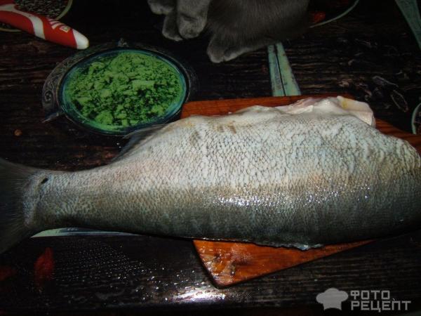 Рыба, запеченная с картофелем - 8 пошаговых фото в рецепте