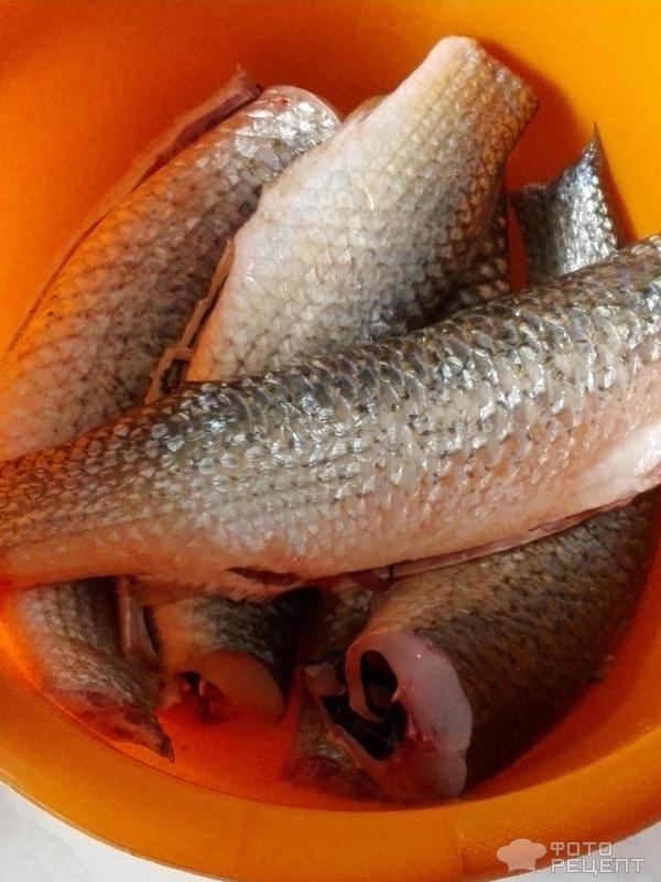 Рыбные котлеты с томатом фото