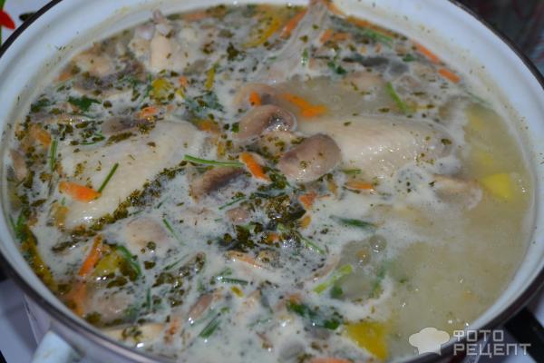 Грибной суп с куриными крылышками фото