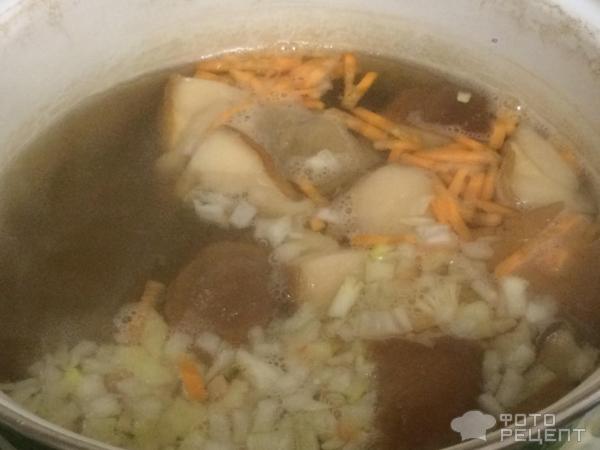 Суп с белыми грибами фото